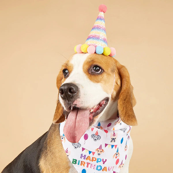 Dog Happy Birthday Decoration Costume Hats Bowknot Bandana Neckerchief Bibs Banners Party Cat Pets Accessories Perros Dog Clothing & Shoes