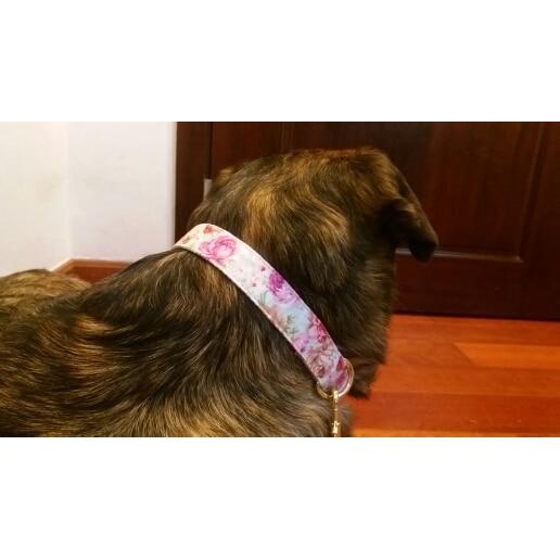 Handmade Personalized Floral Nylon Printed Dog Collar Leash Sets Leads & Head Collars