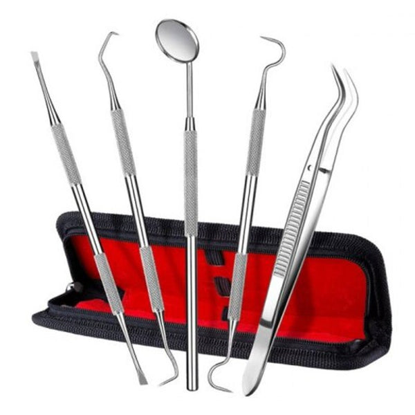 5 In 1 Professional Multifunctional Dental Tools Set Silver Denture Care