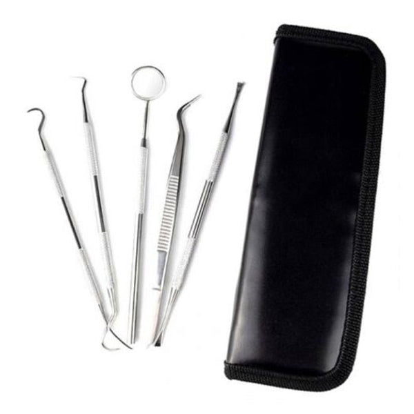 5 In 1 Professional Multifunctional Dental Tools Set Silver Denture Care