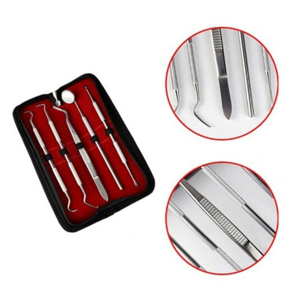 5 In 1 Professional Multifunctional Dental Tools Set Silver Denture Care