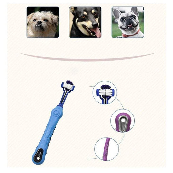 Pet Health 5 Pack Random Colour Dog Cat Toothbrush Three Sided Brush