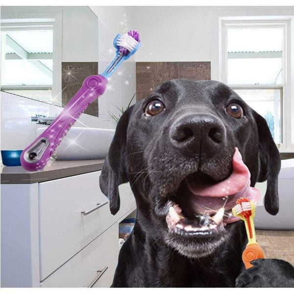 Pet Health 5 Pack Random Colour Dog Cat Toothbrush Three Sided Brush