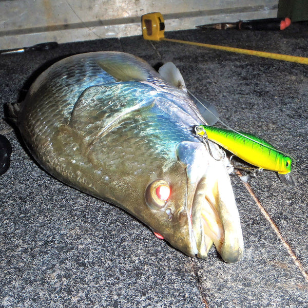 Finesse Mk10 Diving Lure 125Mm 17.5Gm Goldback Baits & Lures