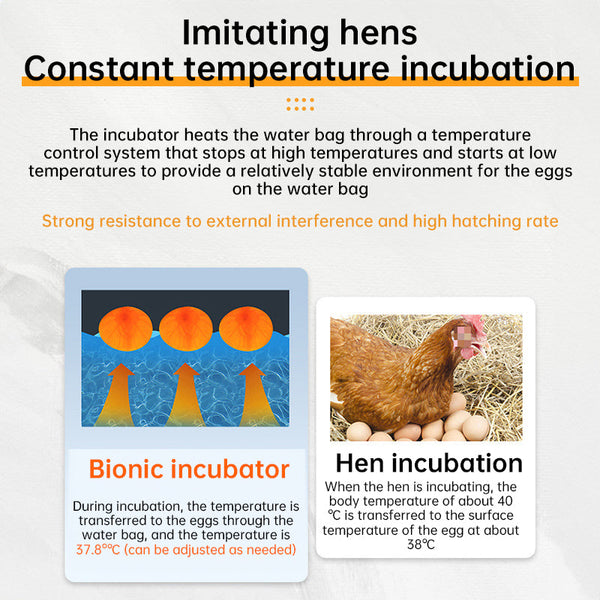 24 Hr Thermostatic Small Poultry Incubator. Biomimetic Waterbed. Auto & Smart. For Chick Duck Goose Eggs Incubators