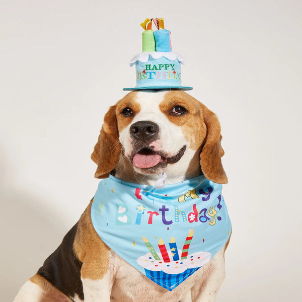 Dog Happy Birthday Decoration Costume Hats Bowknot Bandana Neckerchief Bibs Banners Party Cat Pets Accessories Perros Dog Clothing & Shoes