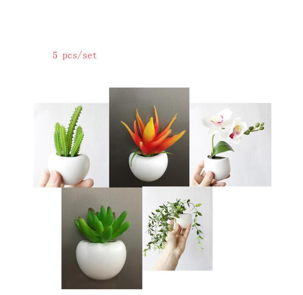 Cute Plant Fridge Magnets Succulent Cactus Orchid Refridgerator Decorations Refrigerator Magnets