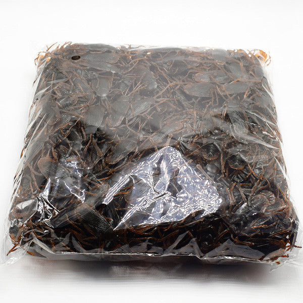 Simulated roach April Fool's Day Toy Shocking Fake roaches Realistic Teasing Little Qiang Party Gags & Tricks