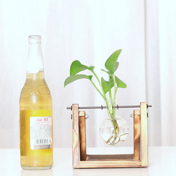 Plant Transparent Wooden Frame Vase Desktop Ornament Container Vases