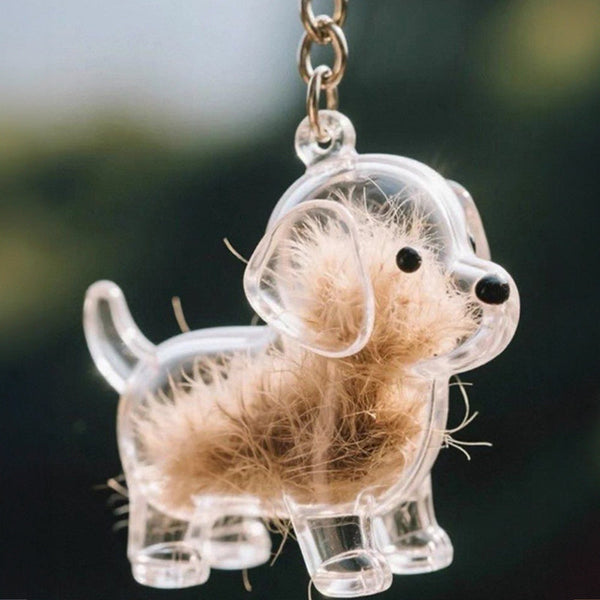 A Transparent Diy Pet Hair Memorial Keychain Box Sweet Keepsake For Dog Lovers. Keyrings