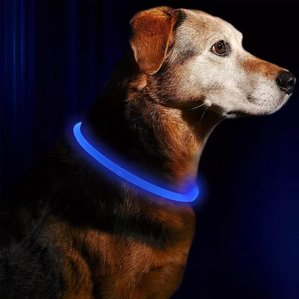 Led Fiber Optic Dog Collar Multi Color Pvc Usb Rechargeable Night Safety (S/M/L Sizes) Dog Collars