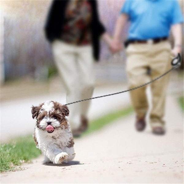 5M Dog Leash Automatic Retractable Extending Pet Collar Walking Blue Leads & Head Collars