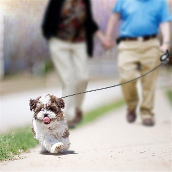5M Dog Leash Automatic Retractable Extending Pet Collar Walking Blue