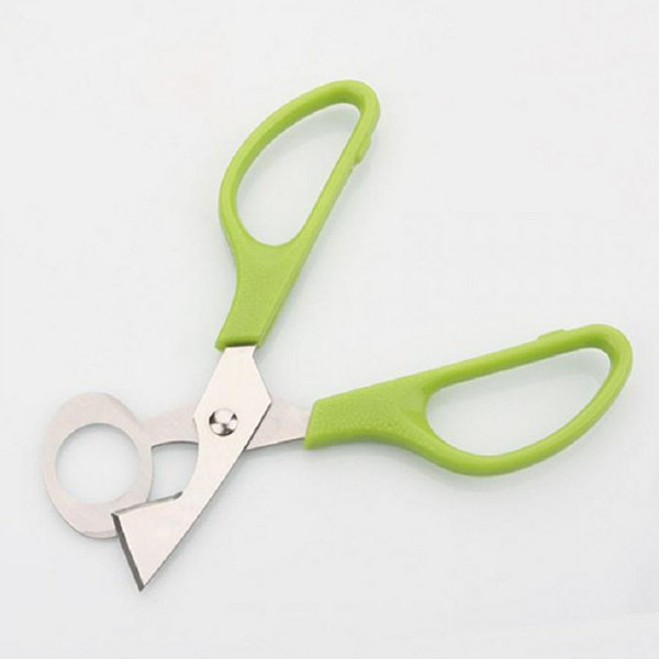 5Pcs Egg Opener Bird Quail Scissors Cracker Stainless Steel Cutter Clipper Scissors & Shears