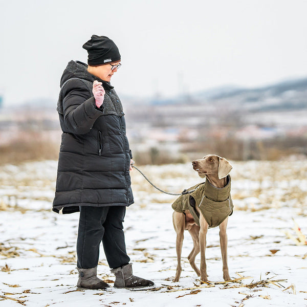 Thick And Warm Dog Clothing Outdoor Cotton Coat Vest For Winter Warmth Dog Clothing & Shoes
