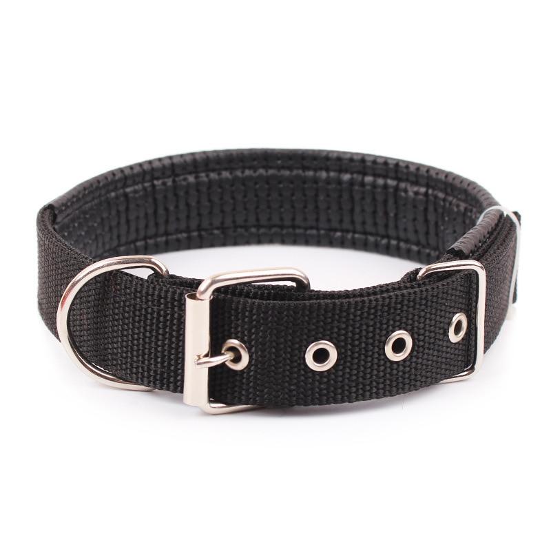 Walk Me Nylon Flat Dog Collar Dog Collars