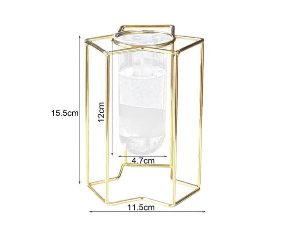Glass Vase Sturdy Construction Geometric Hollow Design Iron Modern Hydroponic Flower Pot Decor For Home Golden Vases