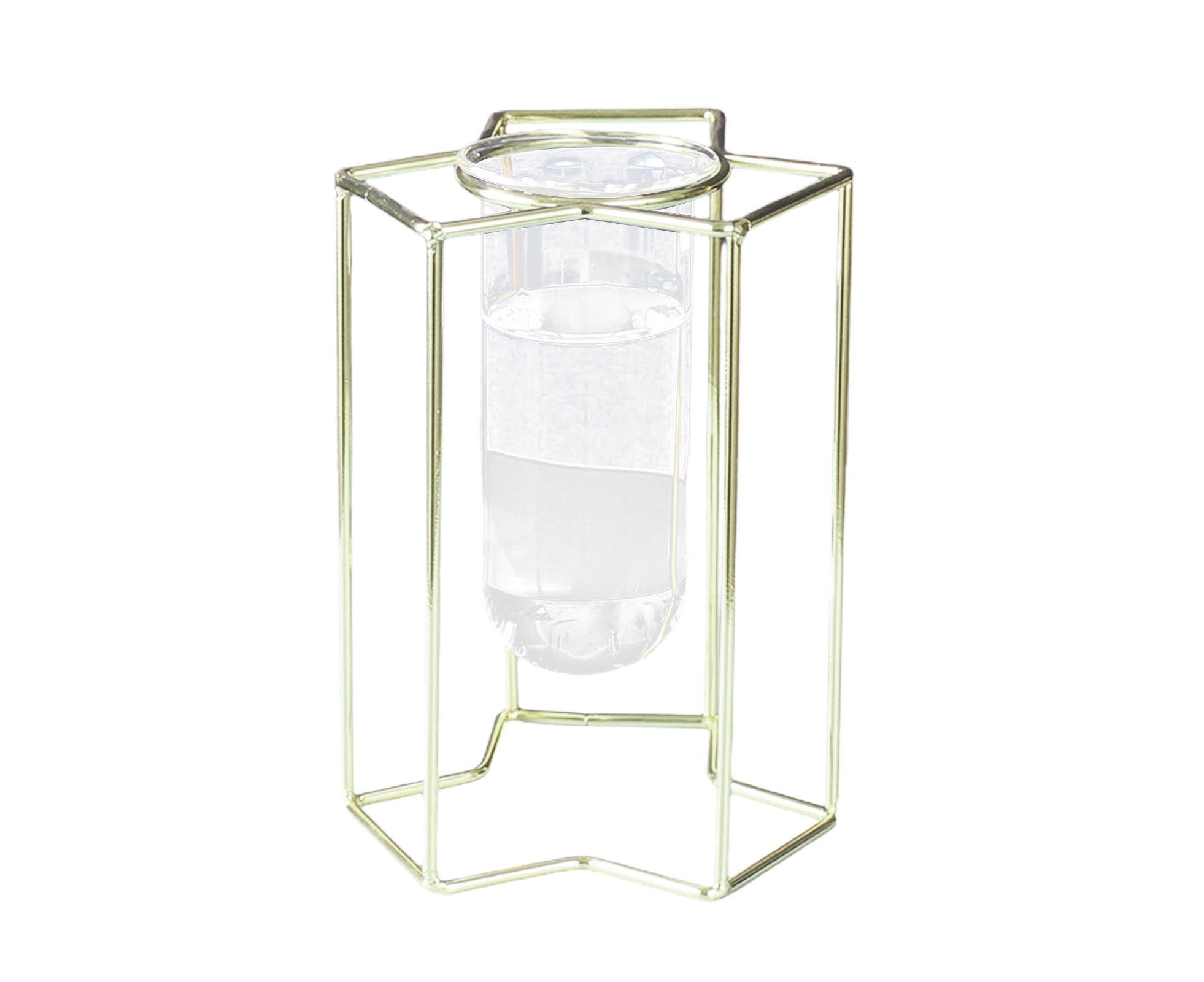 Glass Vase Sturdy Construction Geometric Hollow Design Iron Modern Hydroponic Flower Pot Decor For Home Golden Vases