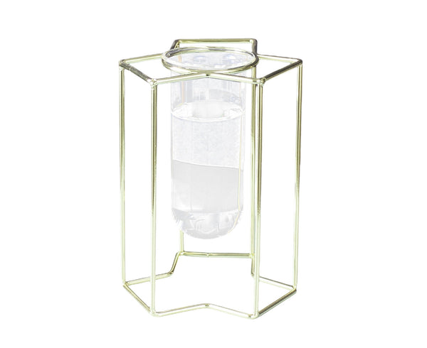 Glass Vase Sturdy Construction Geometric Hollow Design Iron Modern Hydroponic Flower Pot Decor For Home Golden Vases