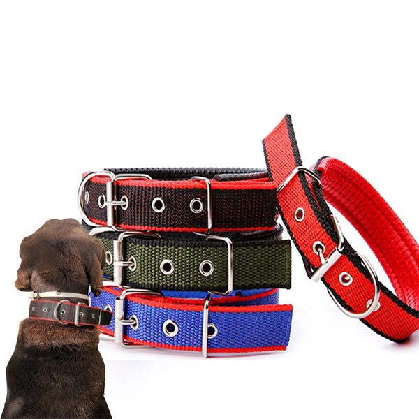 Walk Me Nylon Flat Dog Collar Dog Collars
