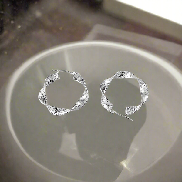 Titanium Steel Twisted Earrings