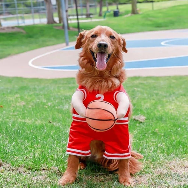 Dog Basketball Cost With Ball Pet Clothing And Clothes Dog Clothing & Shoes