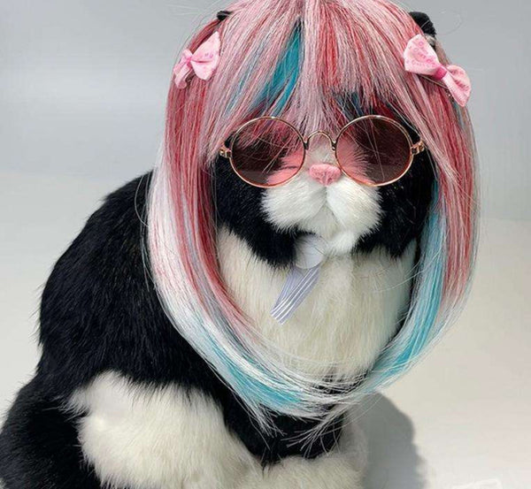 Pet Cat Long Wig Dog Universal Colorful Hair Party Outfit Dog Costumes