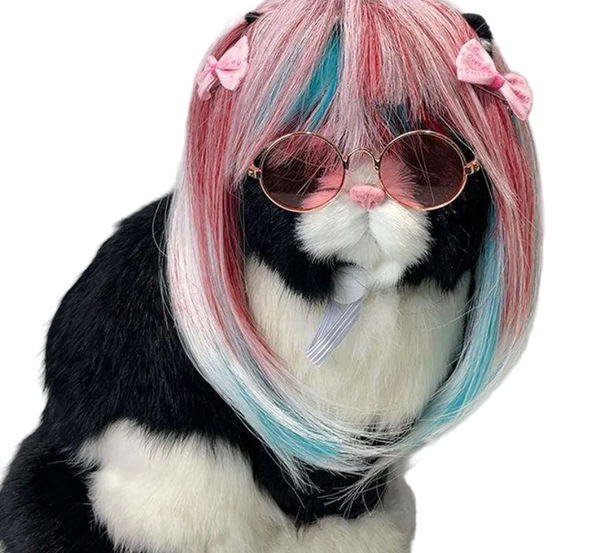 Pet Cat Long Wig Dog Universal Colorful Hair Party Outfit Dog Costumes