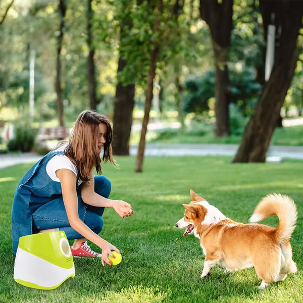 Rechargeable Automatic Tennis Ball Launcher For Pets Dog Toys