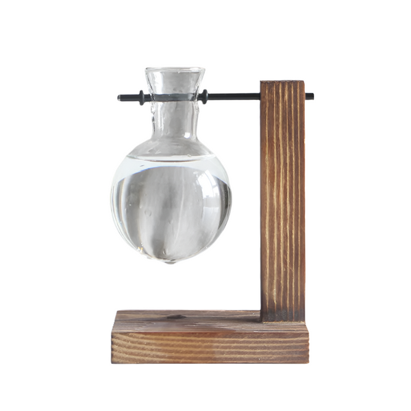 Transparent Bulb Vase With Wood Stand. For Hydroponics. Great Coffee Shops & Room Decor. Vases
