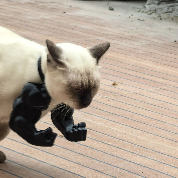Hulk Cat Arm Pet Dog Toy Photography Prop 3D Printed Cute Funny Creative Costume Backpack Dog Toys