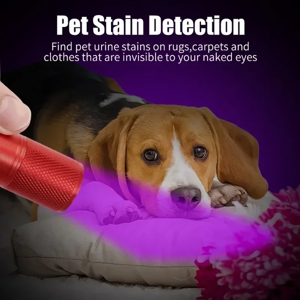 Mini Black Light Flashlight Waterproof Uv Ultraviolet 9Led Detector For Pets Dog Urine Stains Flashlights