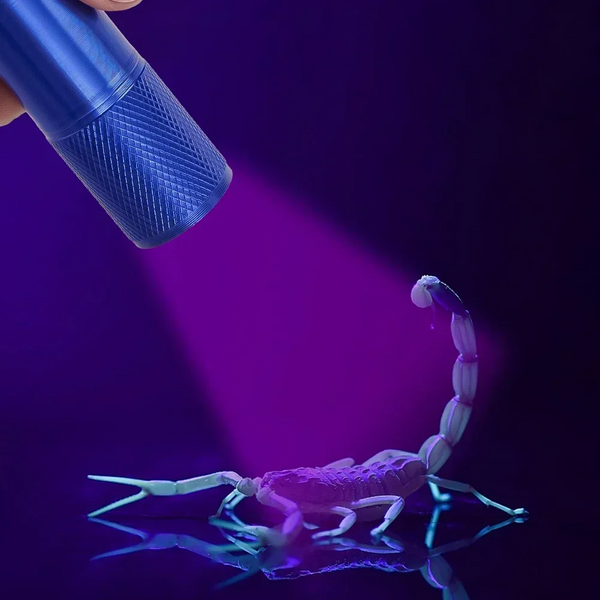 Mini Black Light Flashlight Waterproof Uv Ultraviolet 9Led Detector For Pets Dog Urine Stains Flashlights
