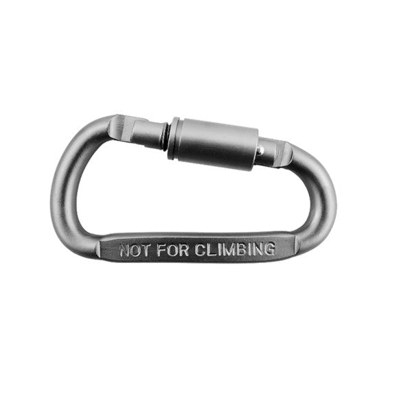 6Pcs Aluminum D Ring Shape Keyring Locking Carabiner Light But Strong Silver