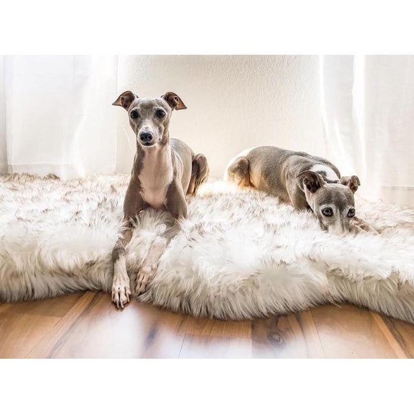 The Ortho Vegan Fur Dog Bed With Memory Foam Pet Beds