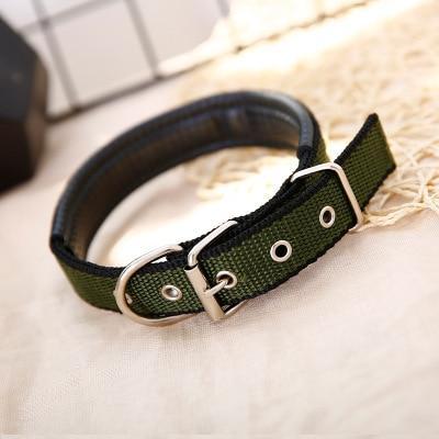 Walk Me Nylon Flat Dog Collar Dog Collars