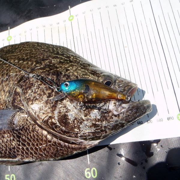 Finesse Mk61/65 Crankbait Camo Blue 65Mm Baits & Lures