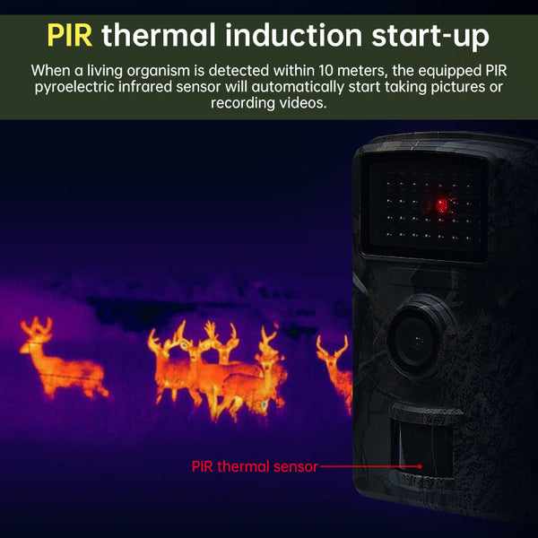 Outdoor 4G Sim Solar Trail Camera 4Mp/14Mp Night Vision Motion Activated Wildlife Hunting #20 Digital Cameras