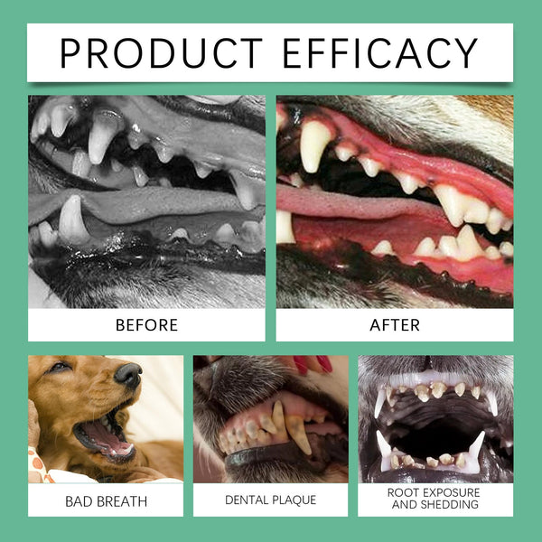 Yegbong Tooth Cleaning Powder For Dogs A Gentle Formula Freshen Breath And Protect Pet Oral Health Dog Grooming