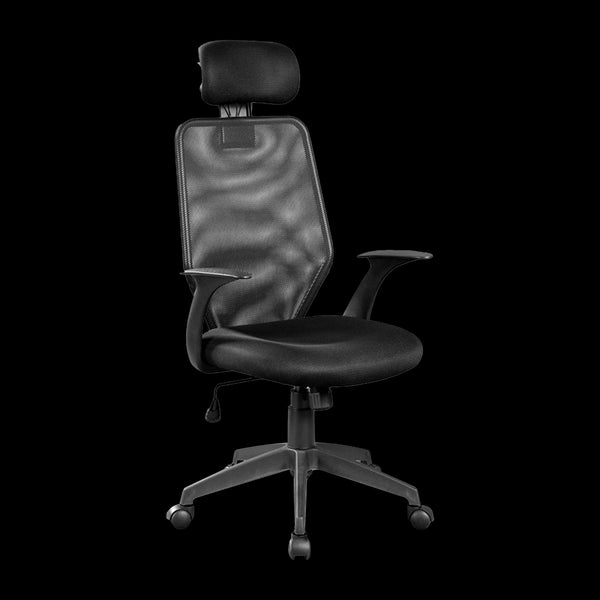 Ergonomic Mesh Office Chair Office Chairs