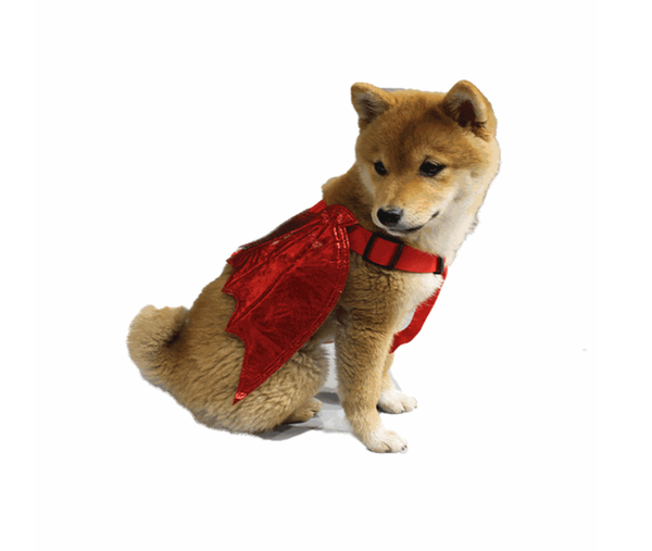 Pet Halloween Dress Up Costume Accessories Chest And Back Traction Rope Bat Transformation Outfit Dog Clothing & Shoes