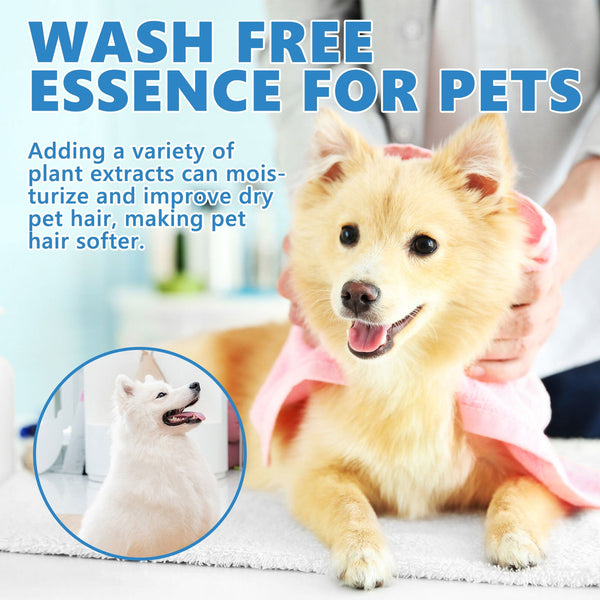 Pet Hair Daily Gentle Cleaning And Scented No Rinse Care Essence For Cats Dogs Dog Grooming