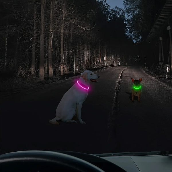 Led Fiber Optic Dog Collar Multi Color Pvc Usb Rechargeable Night Safety (S/M/L Sizes) Dog Collars