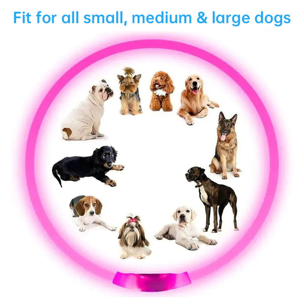 3 Mode Led Dog Collar Usb Rechargeable Detachable & Glowing Pet Safety Necklace For Night Dog Collars