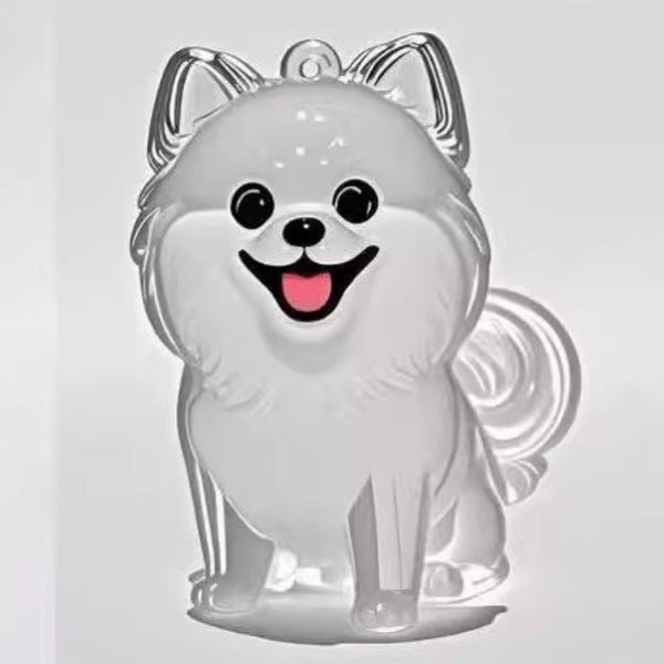 A Transparent Diy Pet Hair Memorial Keychain Box Sweet Keepsake For Dog Lovers. Keyrings