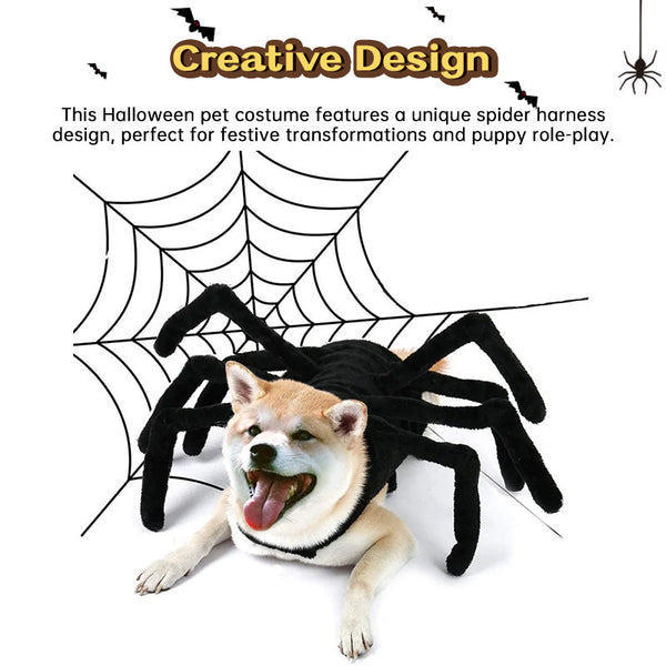 Spider Back Design Pet Halloween Costume Fits Cats Small/Medium Dogs Puppies Dog Clothing & Shoes