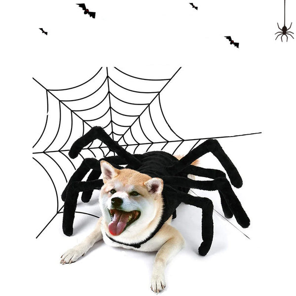 Spider Back Design Pet Halloween Costume Fits Cats Small/Medium Dogs Puppies Dog Clothing & Shoes