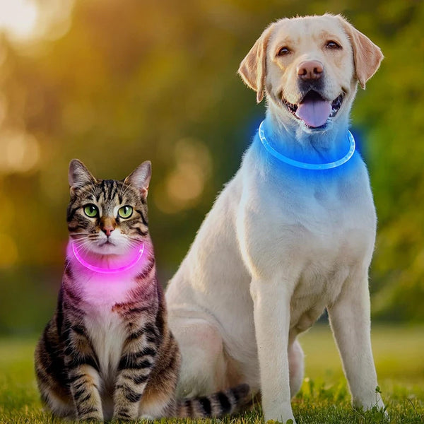 3 Mode Led Dog Collar Usb Rechargeable Detachable & Glowing Pet Safety Necklace For Night Dog Collars