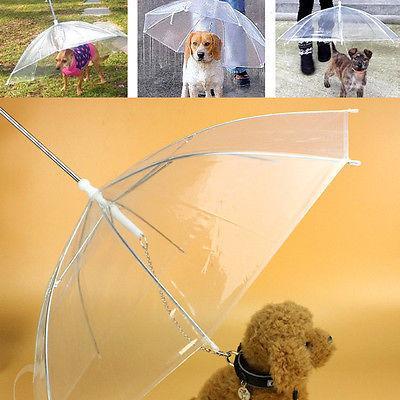 Transparent Pet Umbrella Built In Leash Leads & Head Collars