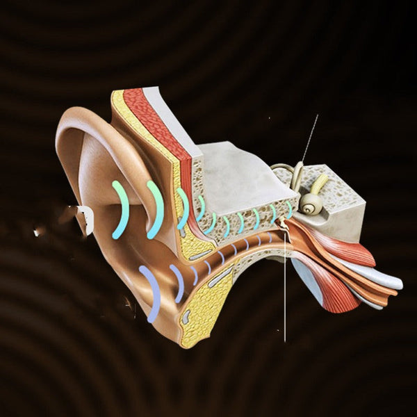 Wireless Bone Conduction Bluetooth Headset Handsfree Headphone Black With Innova Earbuds